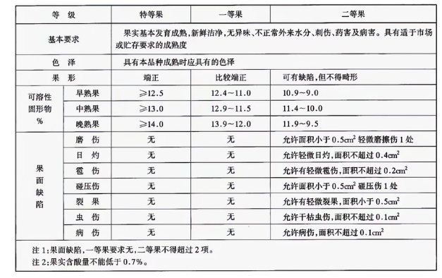 李子冷庫(kù)建造完成后如何用于儲(chǔ)存的？這些你都知道嗎