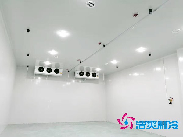 冷庫造價揭秘：300平方米到底要花多少錢？-浩爽制冷