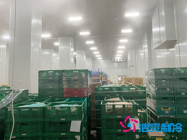 夏季蔬菜保鮮難？500噸冷庫建造價格揭秘！