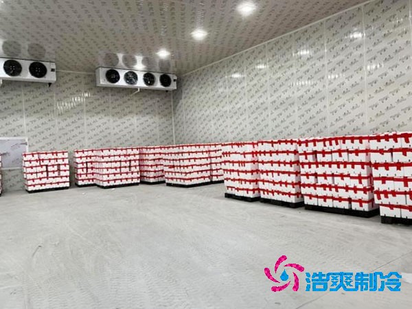 保鮮冷庫造價及冷凍冷庫造價估算表對比
