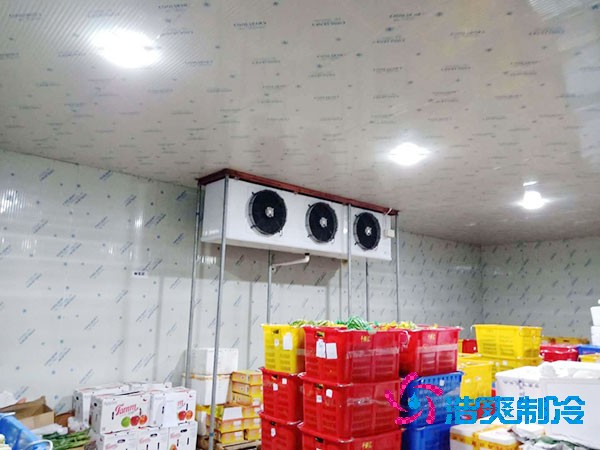 建一個蔬菜冷庫造價需要多少錢？-浩爽制冷